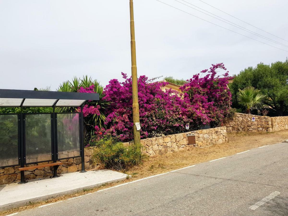 Villa Dettori San Teodoro  Exterior foto